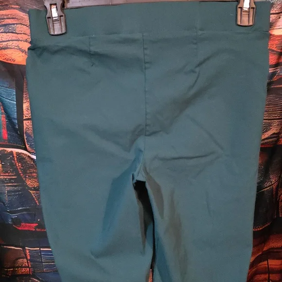 89th & Madison Deep Green Womens Pants Size Large (W490) - Picture 5 of 7